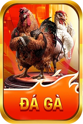 đá gà